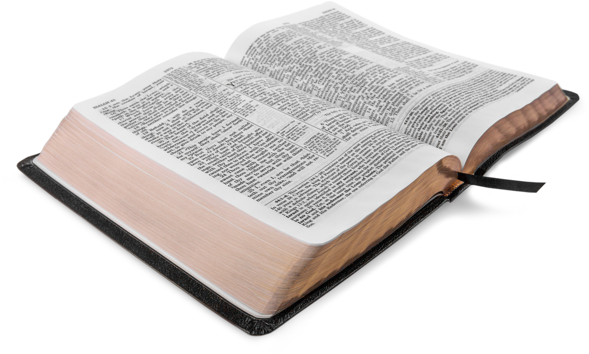 Bible.
